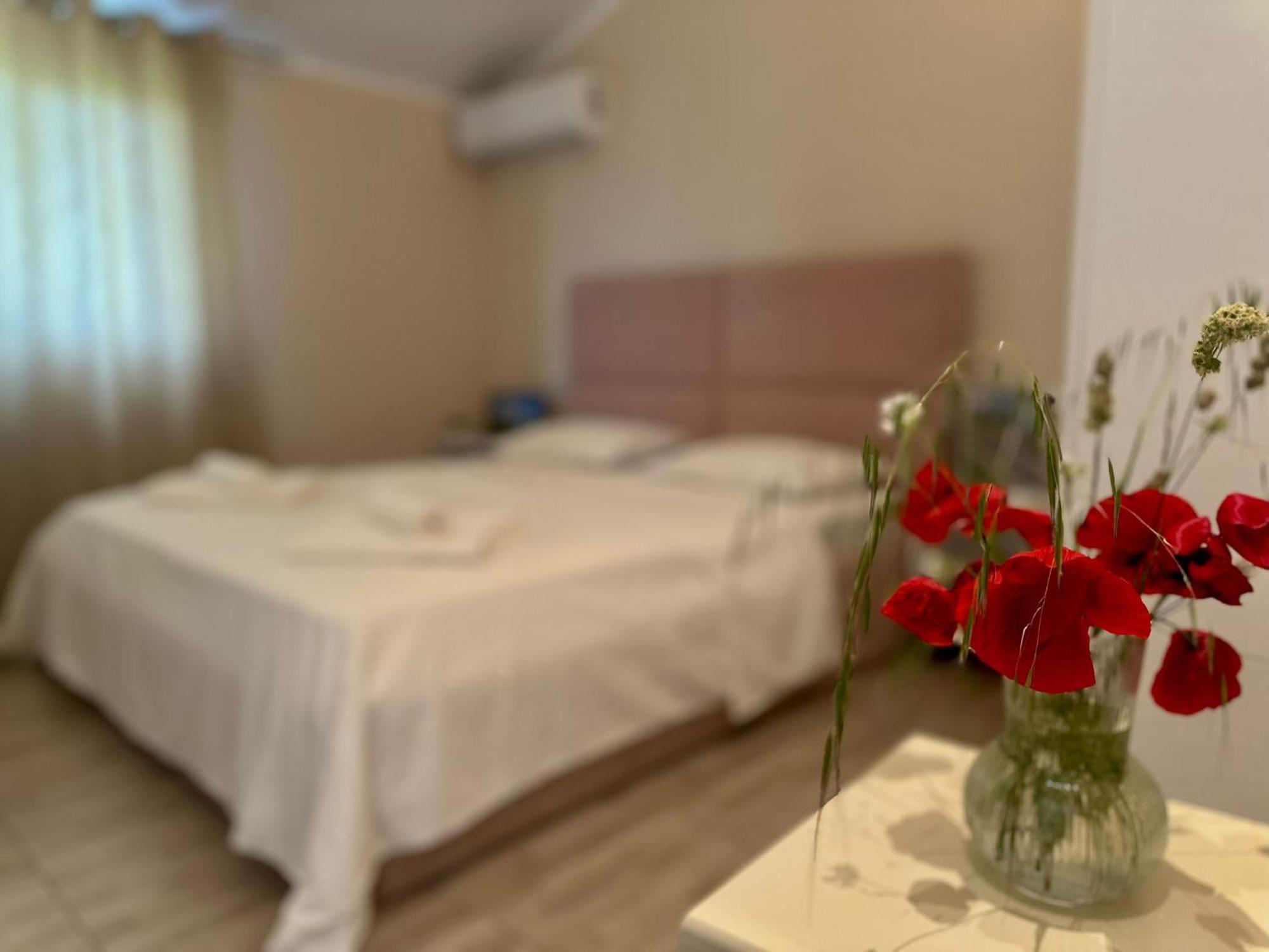 Hotel Villa Ballkan Grilë エクステリア 写真